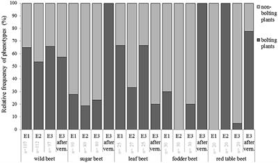 Haplotype Variation of Flowering Time Genes of Sugar Beet and Its Wild Relatives and the Impact on Life Cycle Regimes